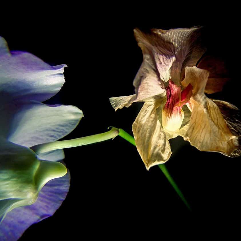 Casato Café Bistrô promove Novembro das Artes IMG 3276 - Casato Café Bistrô promove Novembro das Artes