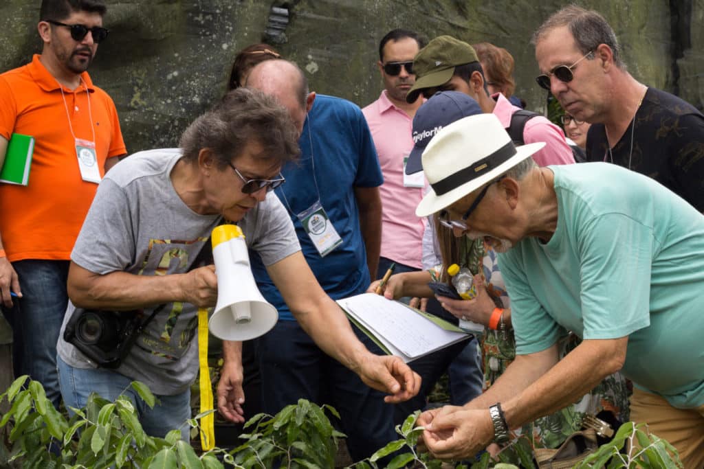 Harri Lorenzi e Raul Cânovas em aula de campo durante o I Seminário Pernambucano de Paisagismo