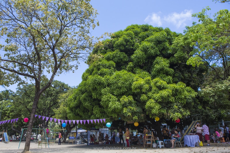 Primavera Dona Jardineira na Praça do Derby em Recife