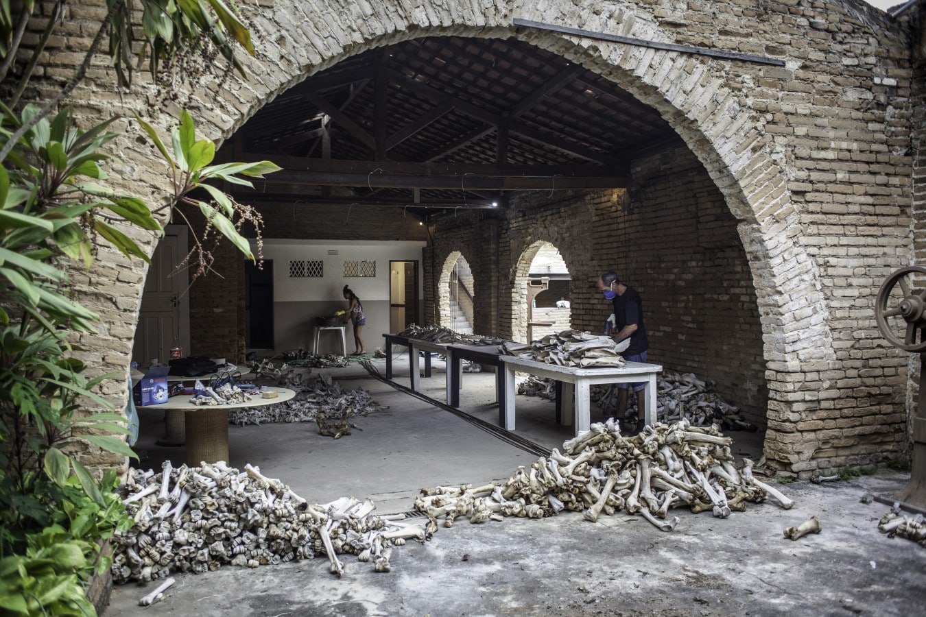 atelier dos ossos Residência em Belo Jardim