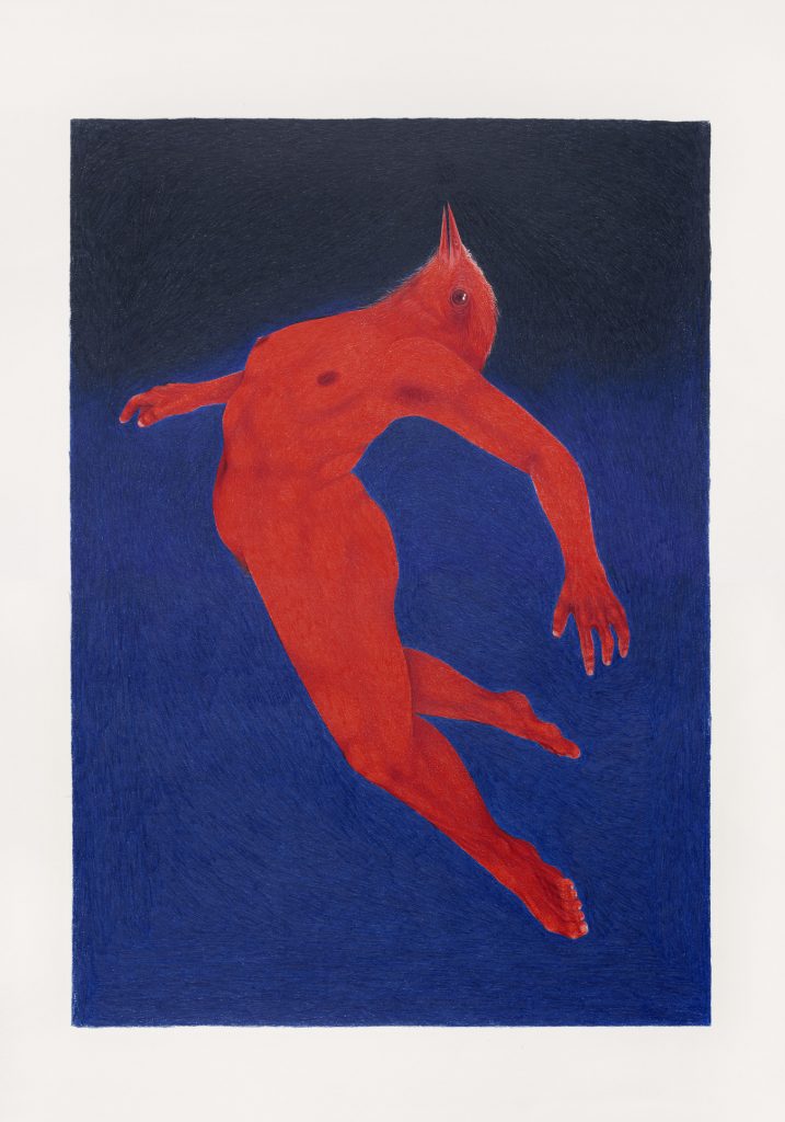 exposição Amparo 60 , arte de Clara Moreira 