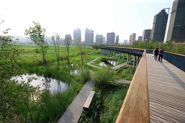 revistaSIM Cidades Esponjas Parque alagavel de Qunli China Credito Turenscape Divulgacao - Você já ouviu falar em Cidades-esponja?