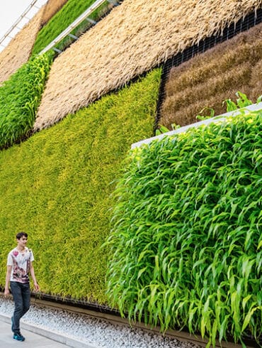 revistaSIM Responsabilidade ambiental Destaque Credito Eugenio Marongiu Shutterstock.com 3 370x490 - Responsabilidade Ambiental:  requisito indispensável para arquitetos