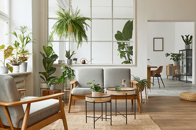 revistaSIM Arquitetura Renovar a casa Plantas na decoracao Credito Followtheflow Shutterstock - Confira as dicas para você fazer a renovação da casa