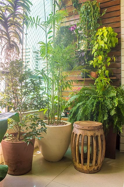 revistaSIM Paisagimos Jardins Pequenos Vasos Credito Joao Pedro - Confira 7 dicas para montar um jardim em espaços pequenos