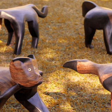 revistasim Xingu Arte capa revistasim Xingu Arte capa