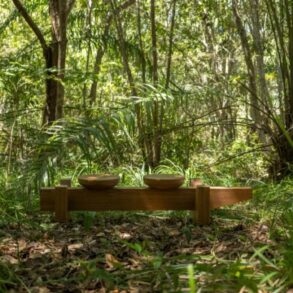 Peça de mobiliário em madeira com formas circulares e retas, fotografada no meio da mata e também sobre parede clara com sombras projetadas.